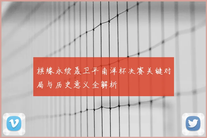棋缘永续聂卫平南洋杯决赛关键对局与历史意义全解析
