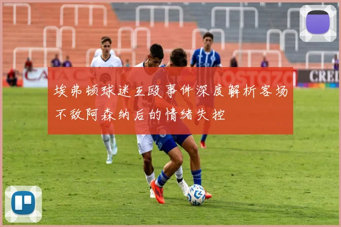 埃弗顿球迷互殴事件深度解析客场不敌阿森纳后的情绪失控